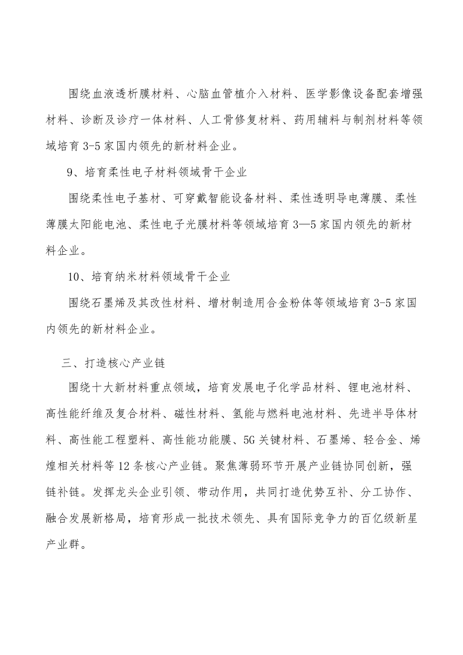 高端磁性材料行动计划.docx_第3页