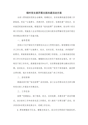 镇村党支部开展支部共建活动方案.docx