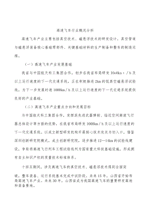 高速飞车行业概况分析.docx