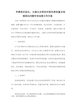 开展高价彩礼、大操大办等农村移风易俗重点领域突出问题专项治理工作方案.docx