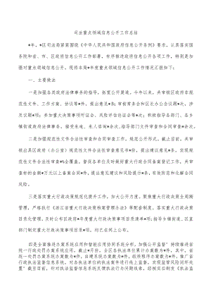 司法重点领域信息公开工作总结.docx