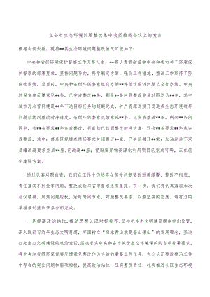 在全市生态环境问题整改集中攻坚推进会议上的发言.docx