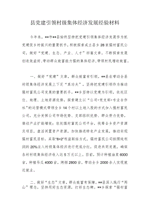 县党建引领村级集体经济发展经验材料.docx
