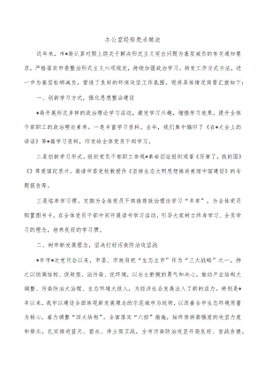 办公室经验亮点做法.docx