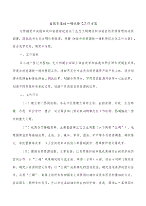 自然资源统一确权登记工作方案.docx