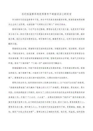 在纪检监察系统优秀青年干部座谈会上的发言.docx