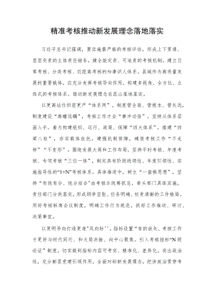 精准考核推动新发展理念落地落实.docx
