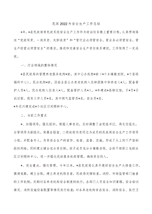 民政2022年安全生产工作总结.docx