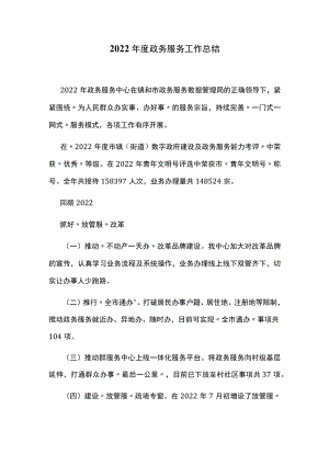 2022年度政务服务工作总结.docx