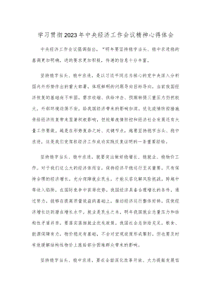 学习贯彻2023年中央经济工作会议精神心得体会.docx