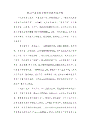 挂职干部座谈会经验交流发言材料.docx
