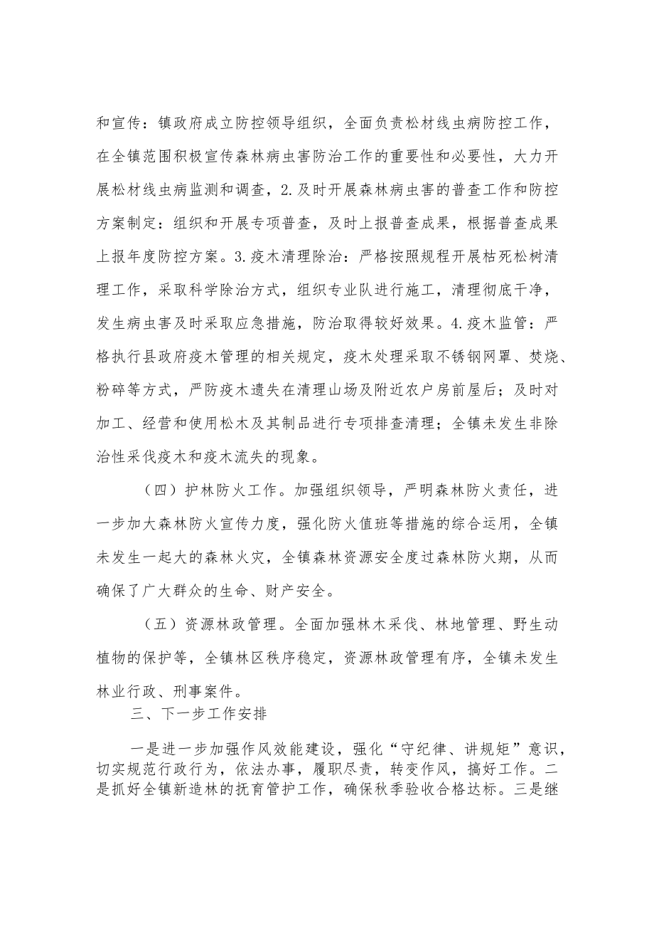 XX镇2022年林业工作总结.docx_第2页