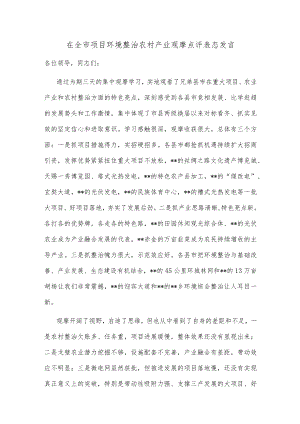 在全市项目环境整治农村产业观摩点评表态发言.docx