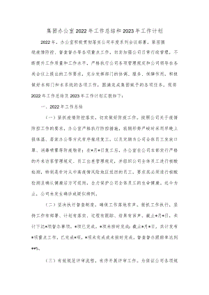 集团办公室2022年工作总结和2023年工作计划.docx