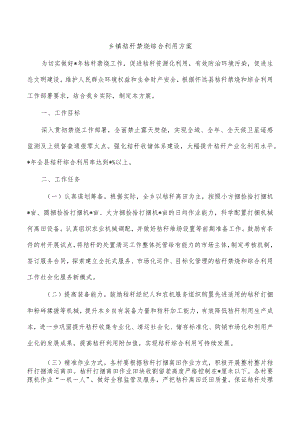乡镇秸秆禁烧综合利用方案.docx