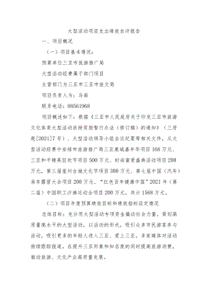 大型活动项目支出绩效自评报告.docx