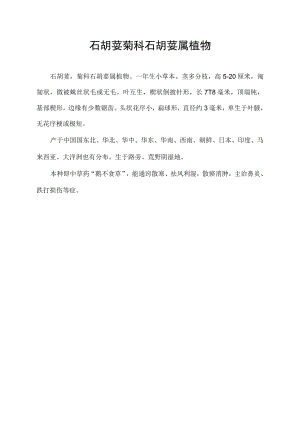石胡荽 菊科石胡荽属植物.docx