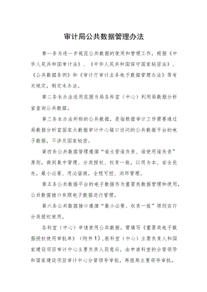 审计局公共数据管理办法.docx