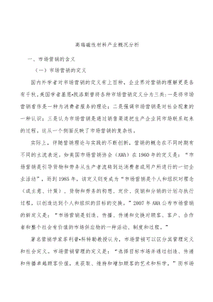 高端磁性材料产业概况分析.docx