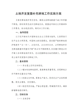 土地开发复垦补充耕地工作实施方案.docx