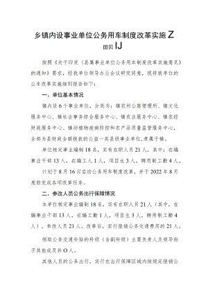 乡镇内设事业单位公务用车制度改革实施细则.docx