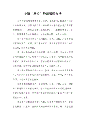 乡镇“三资”经营管理办法.docx