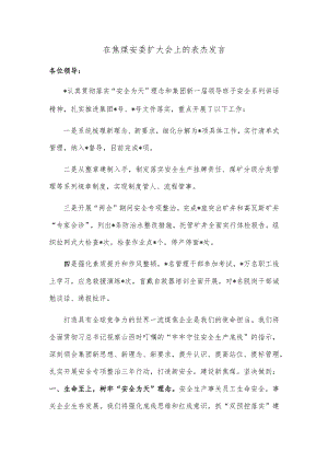 在焦煤安委扩大会上的表态发言.docx