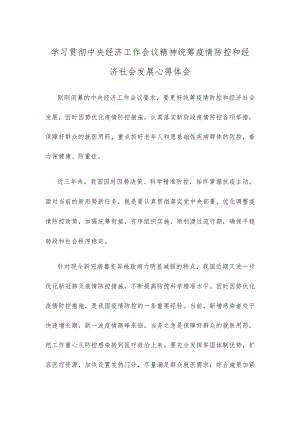 学习贯彻中央经济工作会议精神统筹疫情防控和经济社会发展心得体会.docx