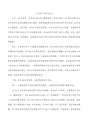 公司审计会表态发言.docx