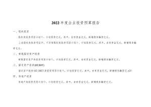 2022年度企业投资预算报告.docx