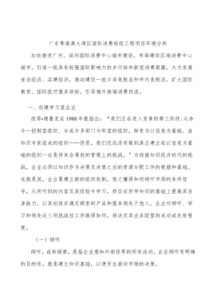 广东粤港澳大湾区国际消费枢纽工程项目环境分析.docx