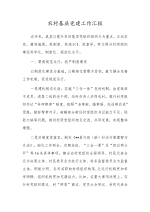 农村基层党建工作汇报.docx