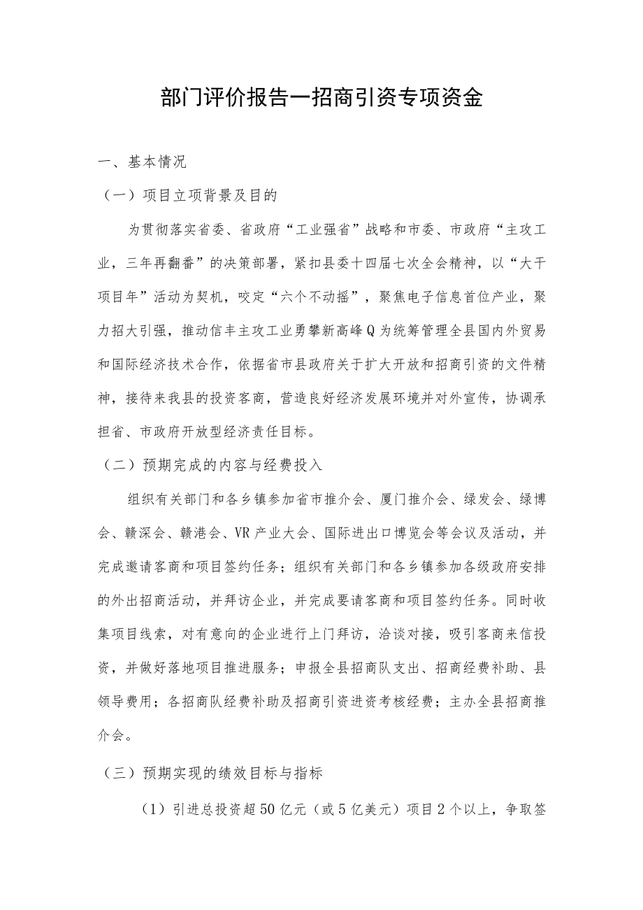 部门评价报告--招商引资专项资金.docx_第1页