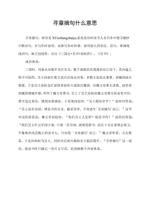 寻章摘句什么意思.docx