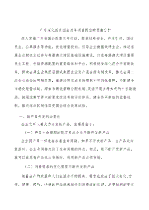 广东深化国资国企改革项目提出的理由分析.docx