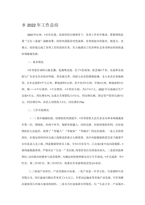 乡2022年工作总结.docx