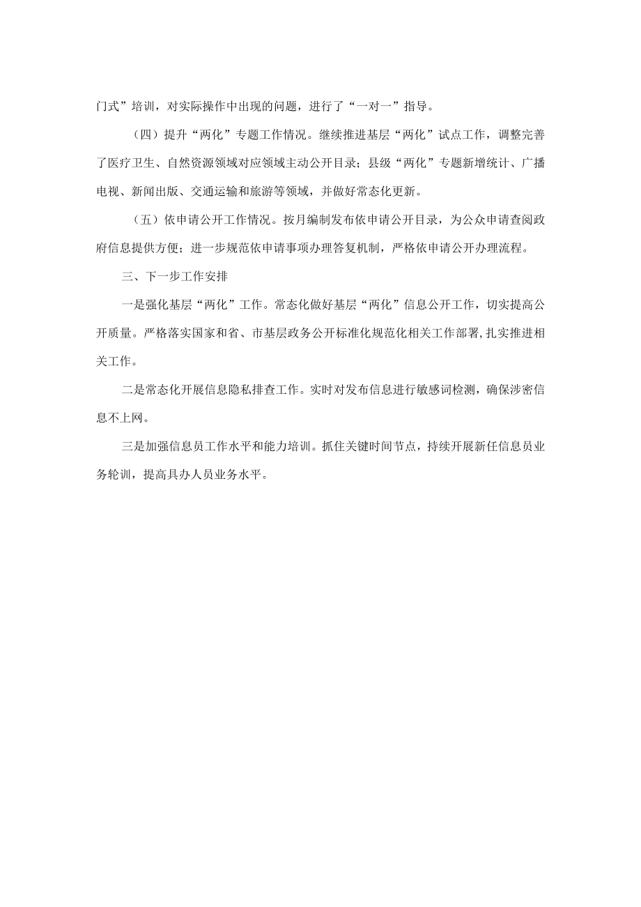 县2022年政务公开工作总结.docx_第2页