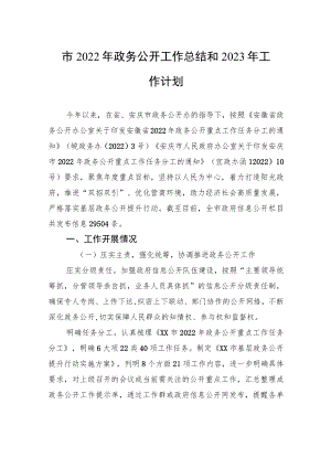 市2022年政务公开工作总结和2023年工作计划.docx