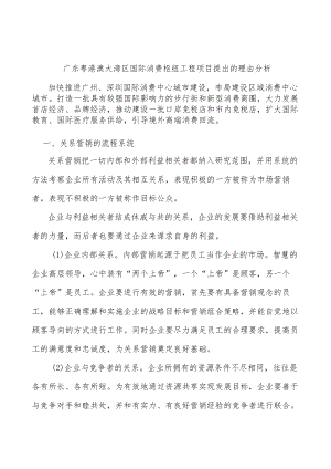 广东粤港澳大湾区国际消费枢纽工程项目提出的理由分析.docx
