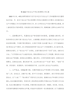 镇2022年安全生产和应急管理工作汇报.docx