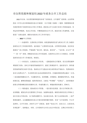 市自然资源和规划局2022年政务公开工作总结.docx