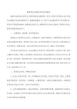 镇推进法治建设总结自查报告.docx
