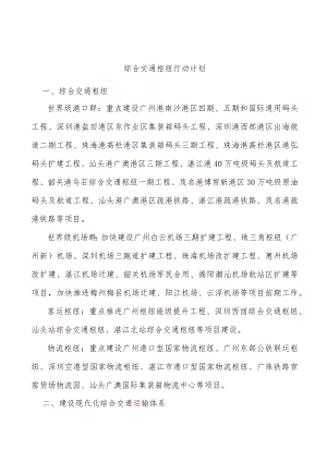 综合交通枢纽行动计划.docx