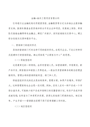 金融+海洋工程项目背景分析.docx