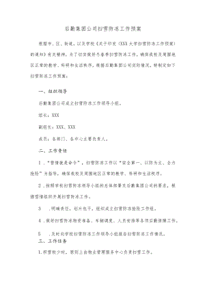 后勤集团公司扫雪防冻工作预案.docx