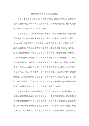 镇能力作风建设经验亮点做法.docx