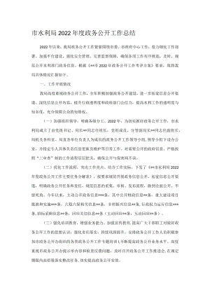 市水利局2022年度政务公开工作总结.docx