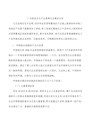 广东绿色石化产业集群行业概况分析.docx