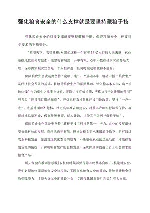 强化粮食安全的什么支撑就是要坚持藏粮于技.docx
