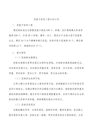 菜篮子培育工程行动计划.docx
